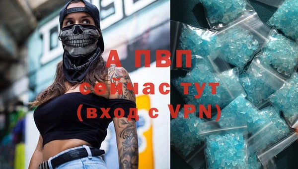 спайс Дмитриев