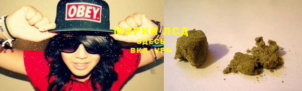 мяу мяу мука Дмитров