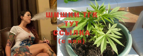 PSILOCYBIN Дмитровск