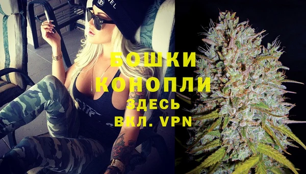 PSILOCYBIN Дмитровск