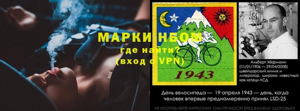 спайс Дмитриев