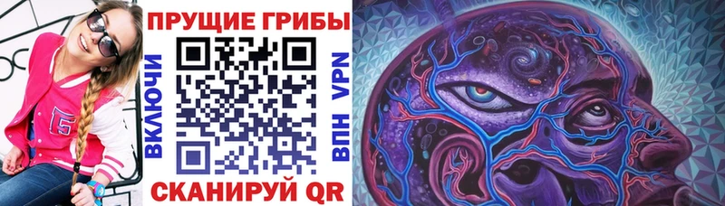 Галлюциногенные грибы ЛСД  мориарти клад  Инсар 
